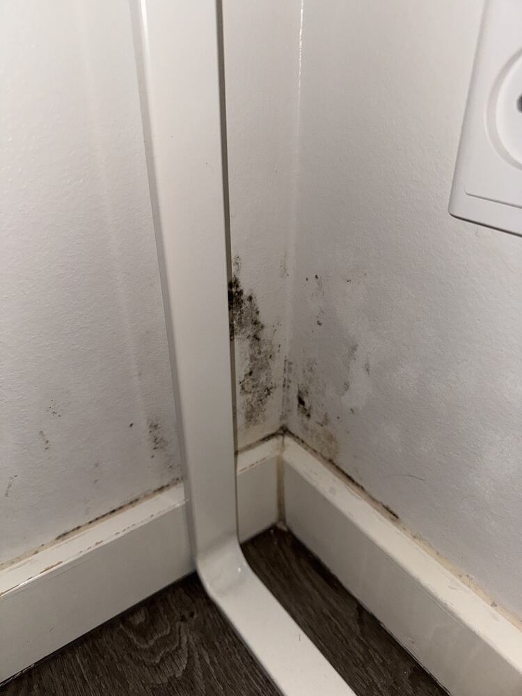 Foto client pernă tetieră