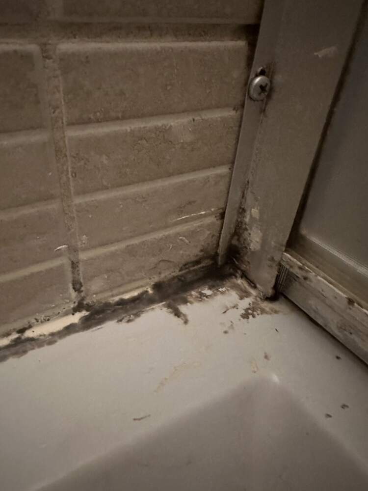 Foto client pernă tetieră