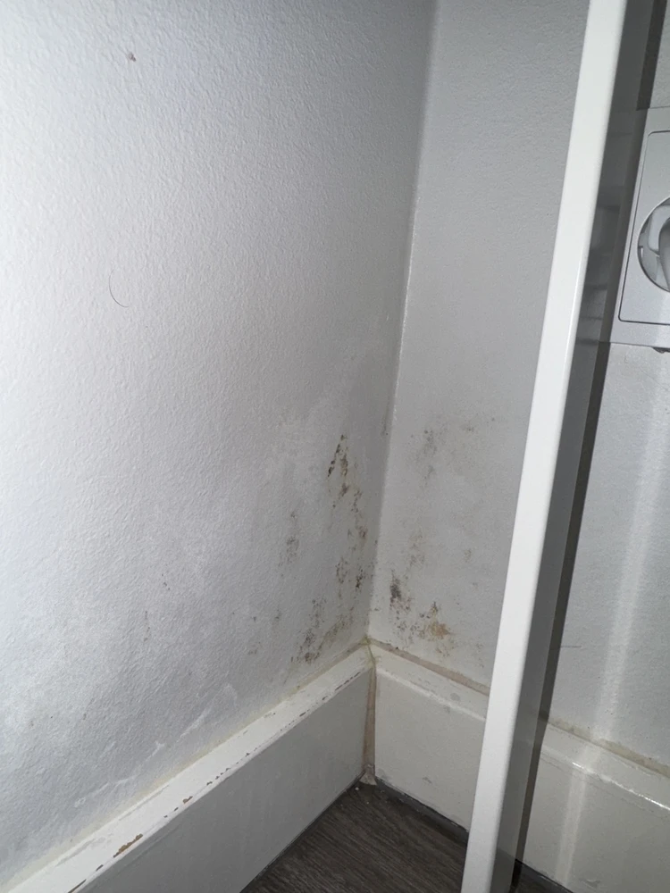 Foto client pernă tetieră (2)