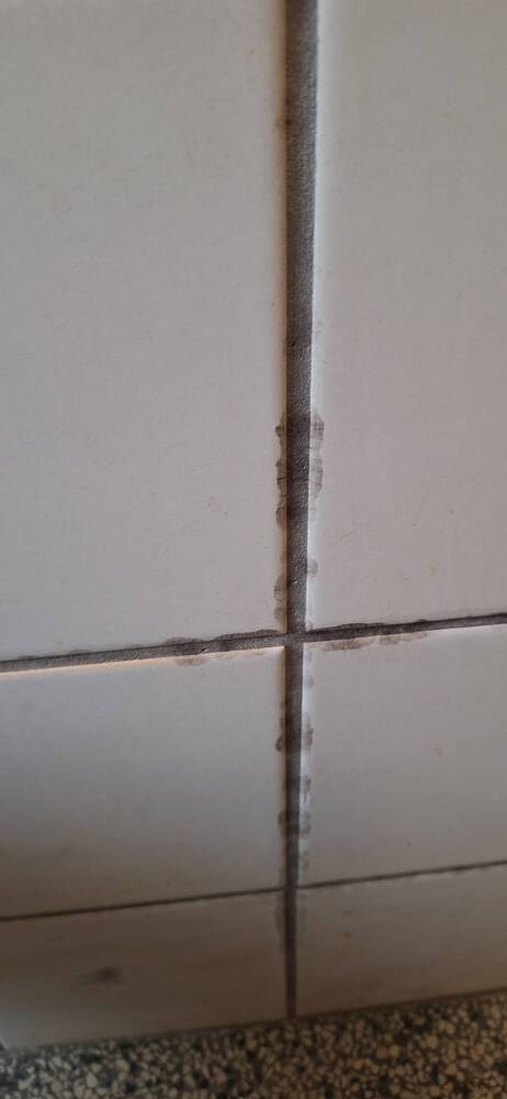 Foto client pernă tetieră