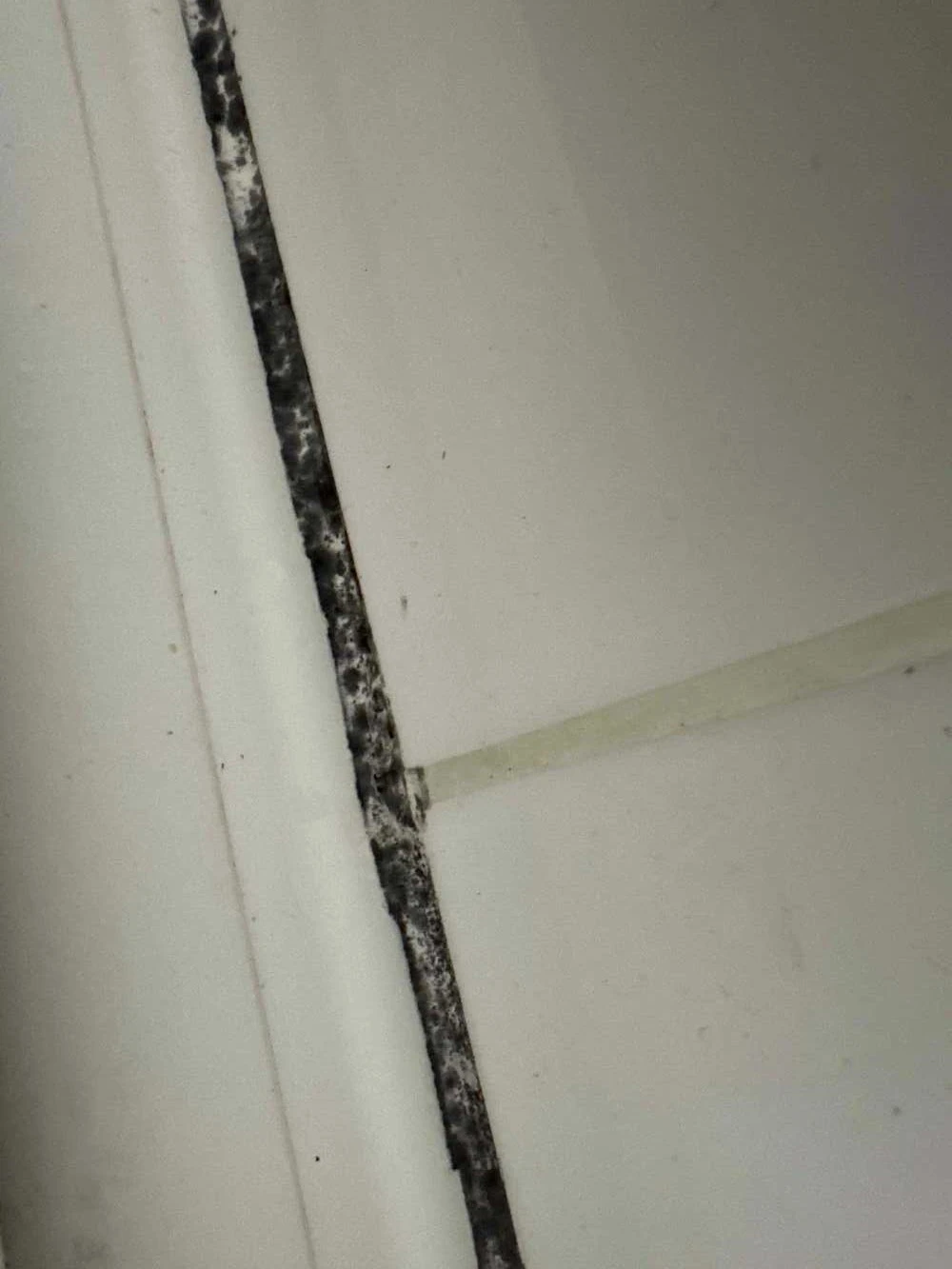 Foto client pernă tetieră